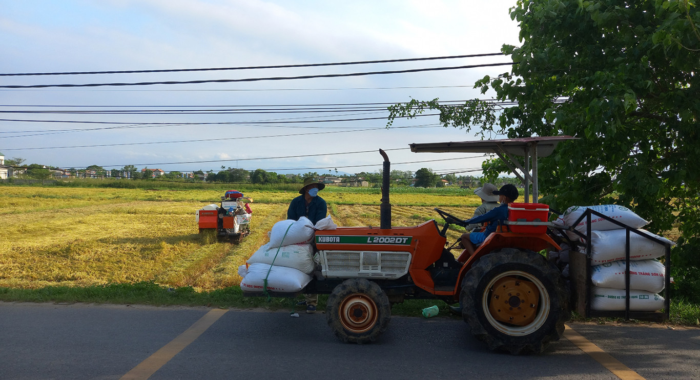 Lao động n&ocirc;ng th&ocirc;n bị phụ thuộc nhiều v&agrave;o thời tiết - Ảnh: P.A